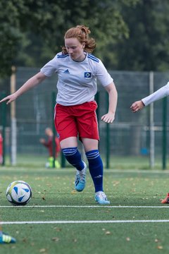 Bild 292 - C-Juniorinnen HSV - Walddoerfer : Ergebnis: 9:1